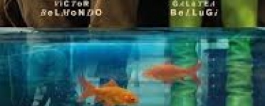 Portrait de Anne Sophie GLEDHILL Portrait de Anne Sophie GLEDHILL